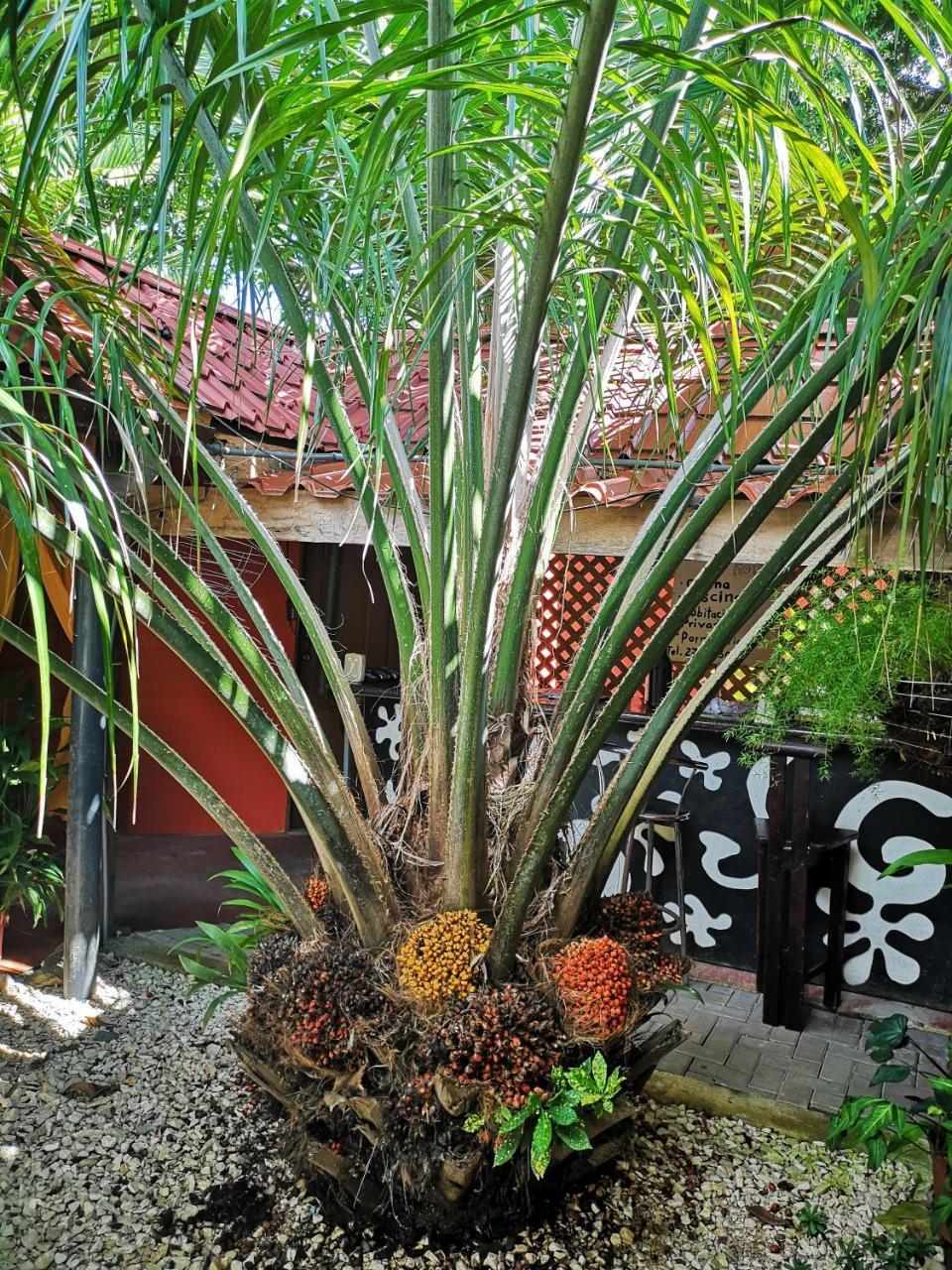 Hostel Antorchas Dominical Buitenkant foto